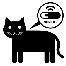 kedilerde mikrocip